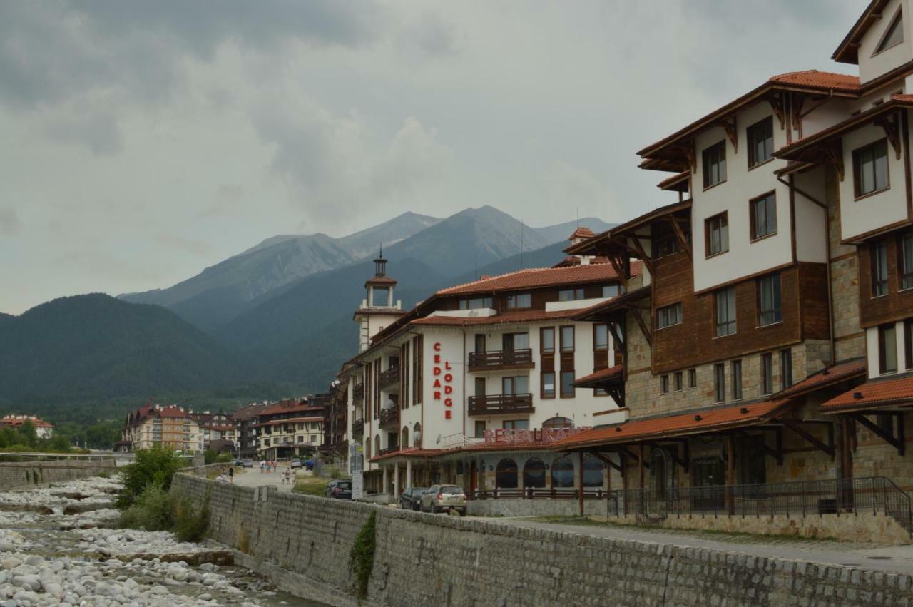 Ski Apartment D50 Cedar Lodge 4 班斯科 外观 照片